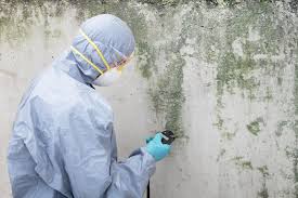 Best HVAC Mold Inspection and Cleaning  in Homeacre Lyndora, PA